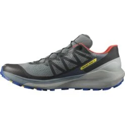 SALOMON SENSE RIDE 4 INVISIBLE GORE-TEX STOMY WEATHER/QUARRY/CHERRY TOMATO 22 -Chaussures De Trail 9 100458 sense ride 4 invisible gtx stowea l41377800 04