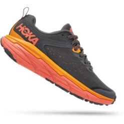 HOKA ONE ONE CHALLENGER ATR 6 W CASTLEROCK/CAMELLIA 22 -Chaussures De Trail 9 110312 challenger atr 6 w castlerock camellia 1106512 ccll 05