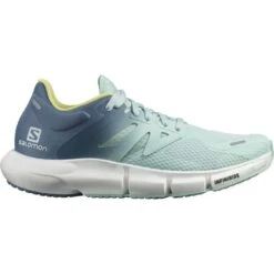 SALOMON PREDICT2 W ICY MORN COPEN BLUE CHA 21